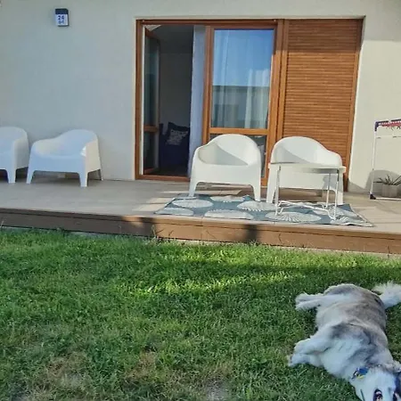 Tatil Evi Amber Loft Witkiewicza