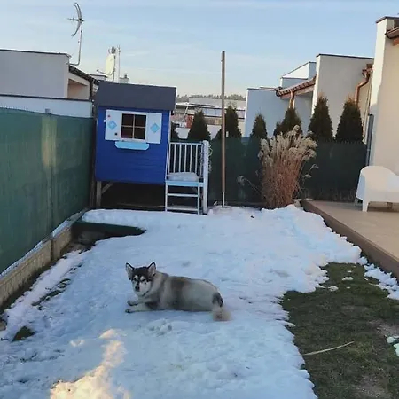 Amber Loft Witkiewicza *