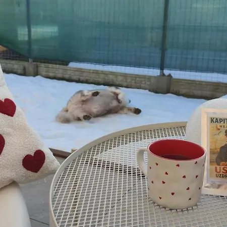 Amber Loft Witkiewicza