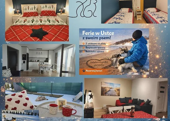 Amber Loft Witkiewicza *