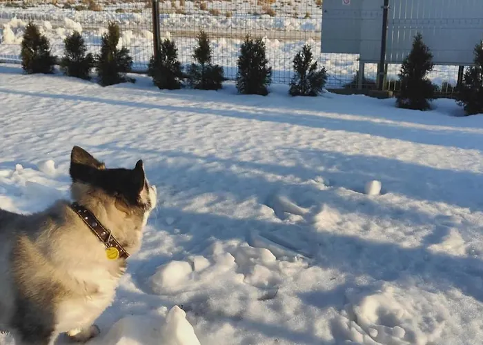 Ferienhaus Amber Loft Witkiewicza Przewloka (Pomerania)