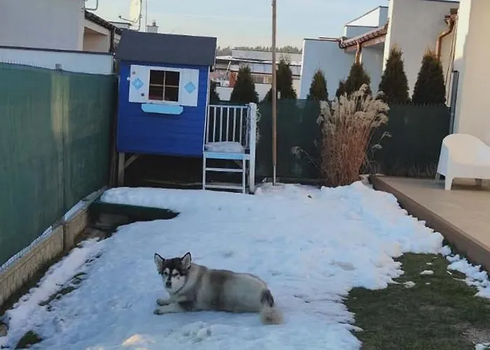 Amber Loft Witkiewicza *