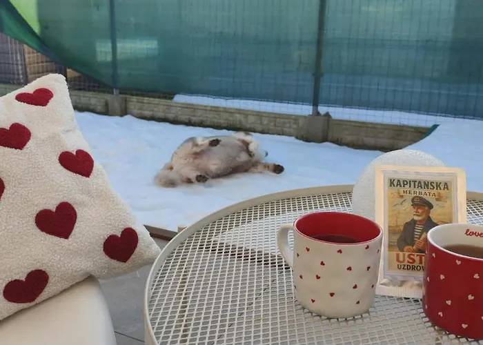 Amber Loft Witkiewicza